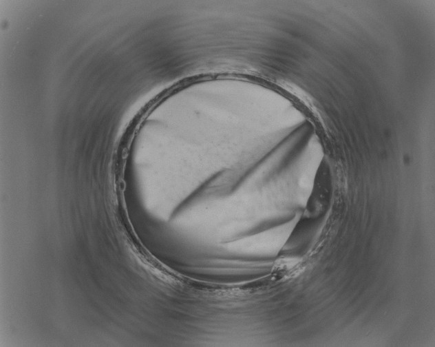 X0000077311120200611101426
