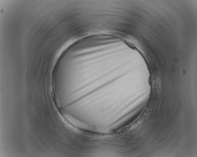 X0000077311143200611101426