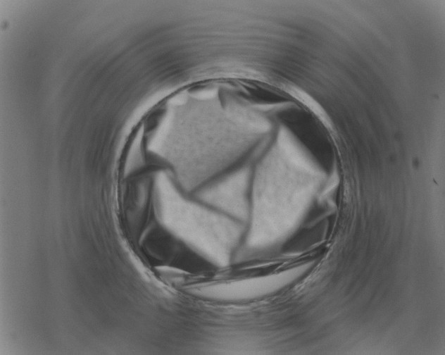 X0000077311144200611101426