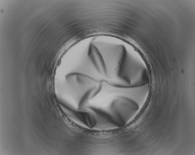 X0000077311145200611101426