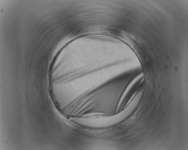 X0000077311147200611101427