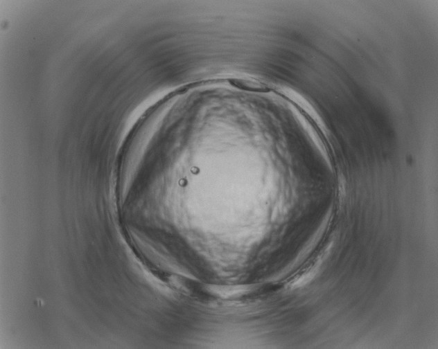 X0000077311149200611101427