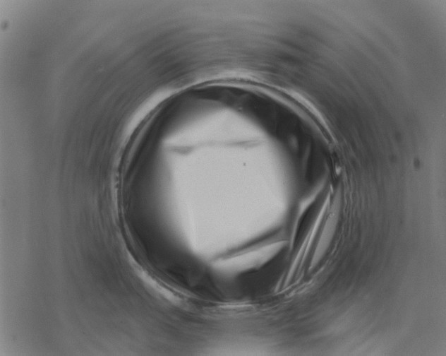 X0000077311151200611101427