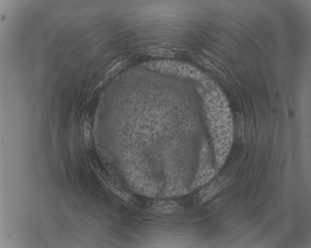 X0000077311154200611101426