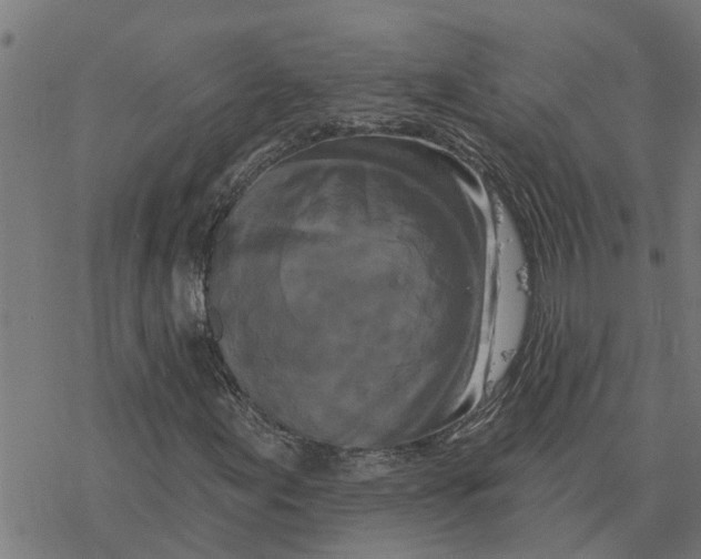 X0000077311155200611101426