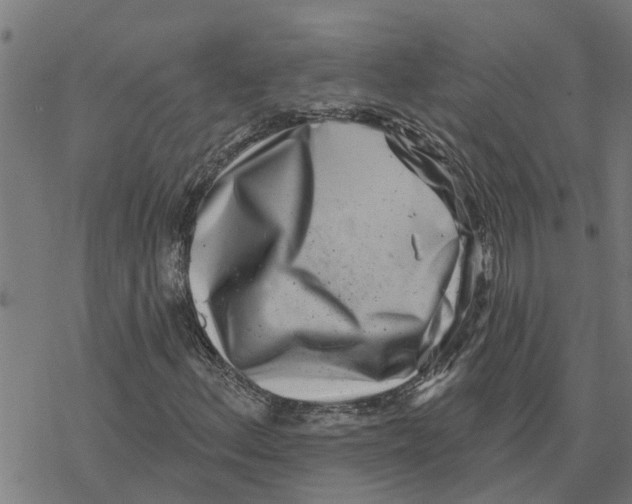 X0000077311156200611101426