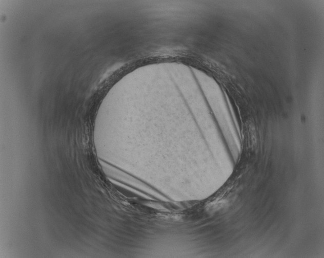 X0000077311158200611101426