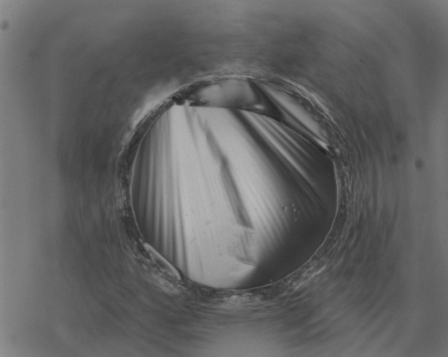 X0000077311160200611101426
