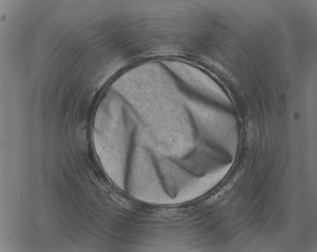 X0000077311162200611101426