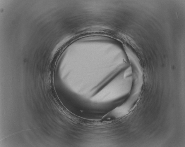 X0000077311164200611101426