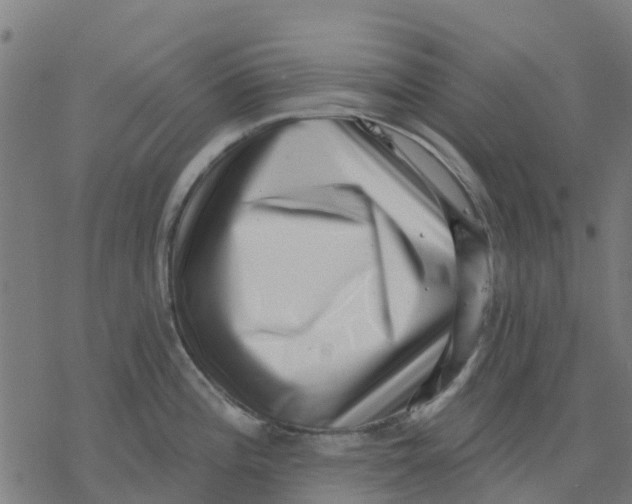 X0000077311196200611101425
