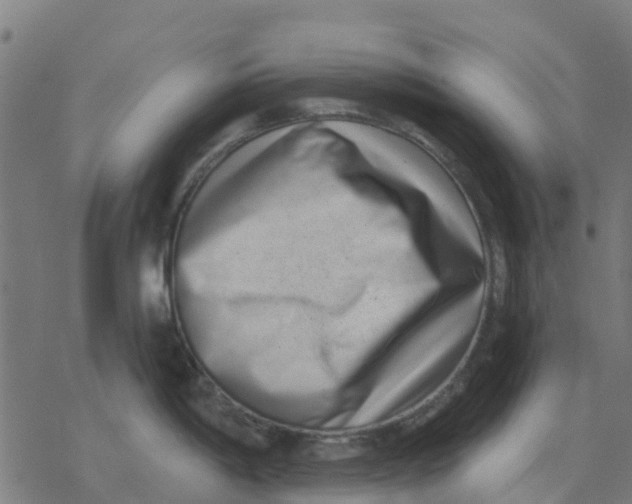 X0000077311198200611101425