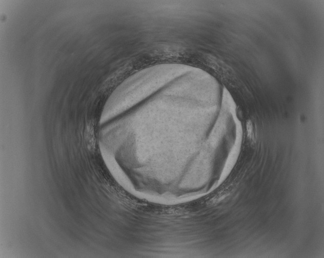 X0000077311203200611101424