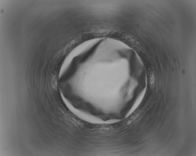 X0000077311204200611101424