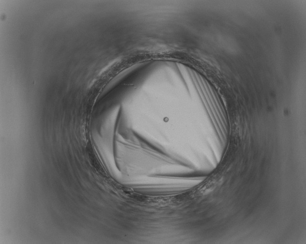 X0000077311205200611101424