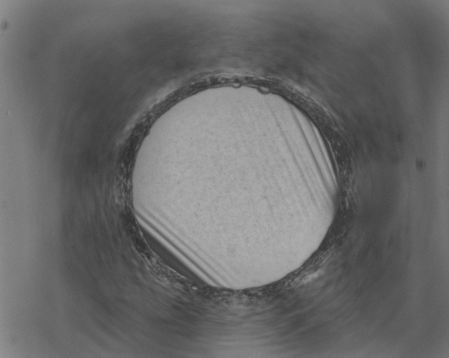 X0000077311207200611101424