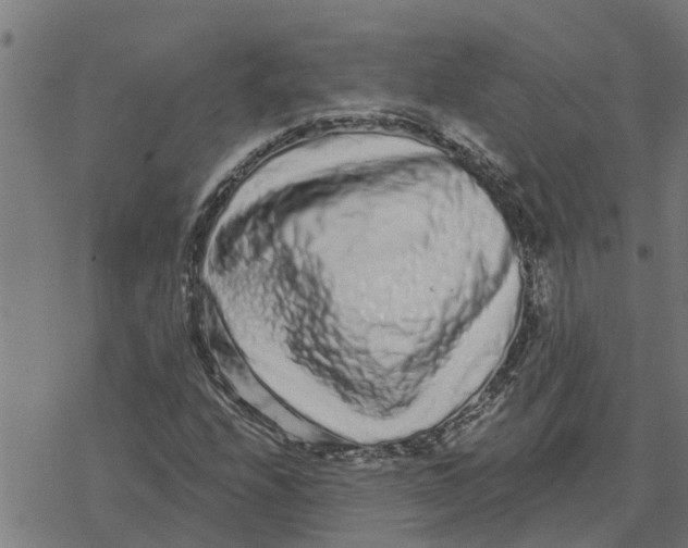 X0000077311208200611101424