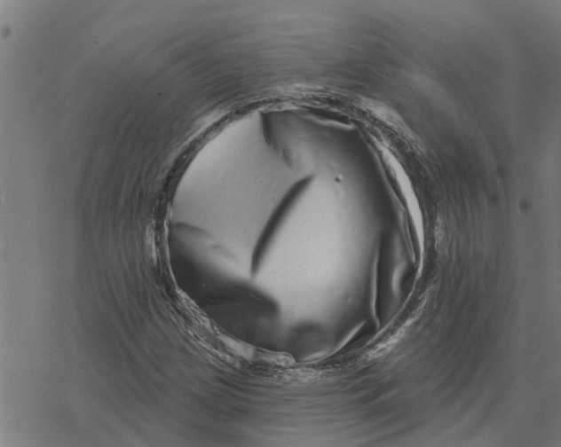 X0000077311209200611101424