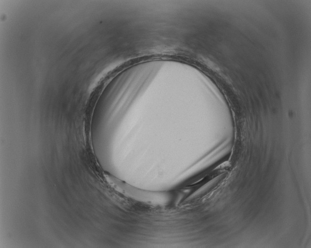 X0000077311214200611101424
