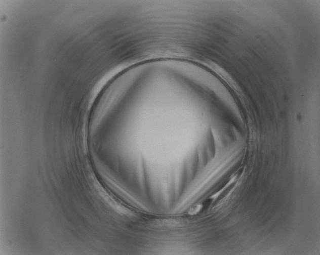 X0000077311246200611101425