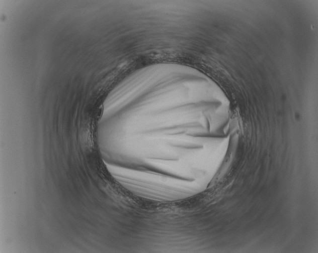 X0000077311250200611101424
