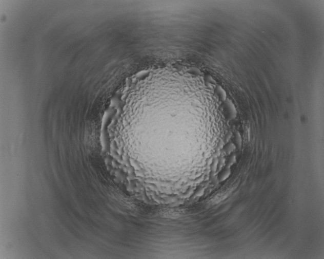 X0000077311251200611101424