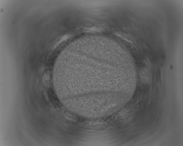 X0000077311254200611101424