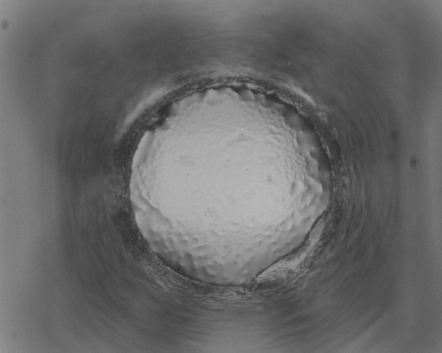 X0000077311255200611101424