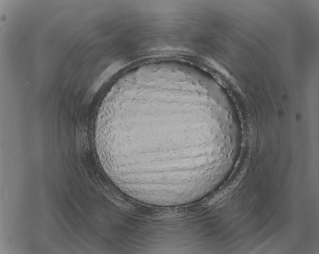 X0000077311259200611101424