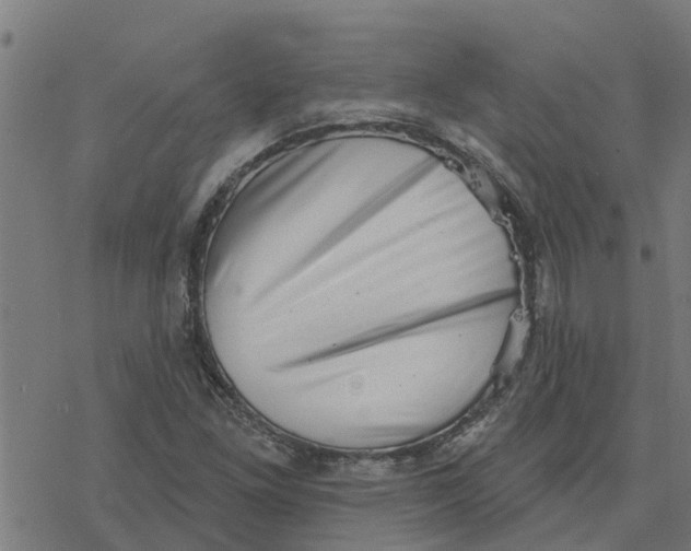 X0000077311261200611101424