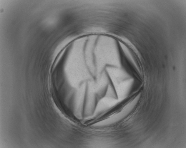 X0000077311295200611101423