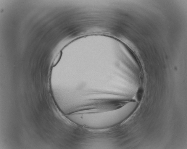 X0000077311296200611101423