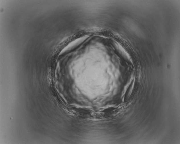 X0000077311301200611101423