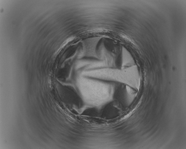X0000077311305200611101423