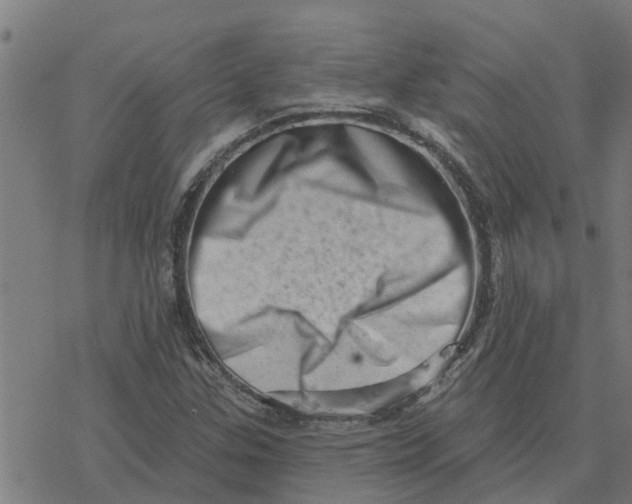 X0000077311307200611101423