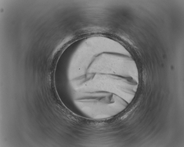 X0000077311309200611101423