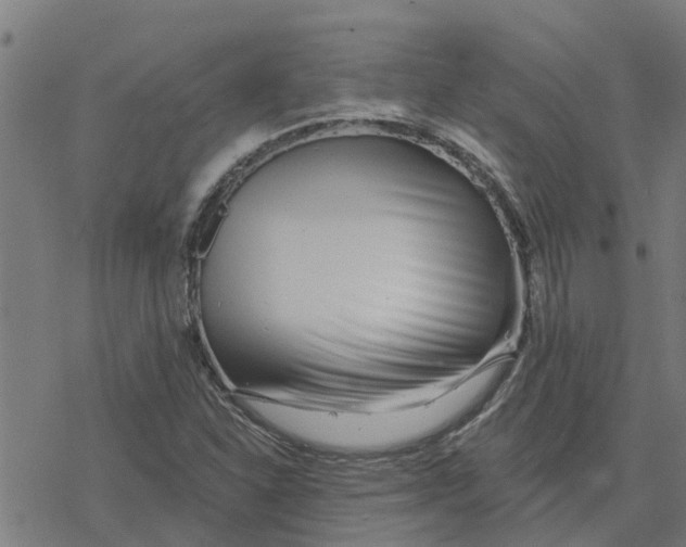 X0000077311310200611101423