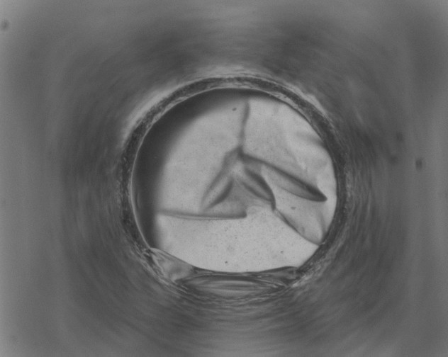 X0000077311311200611101423