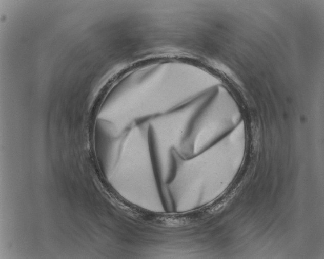 X0000077311318200611101423