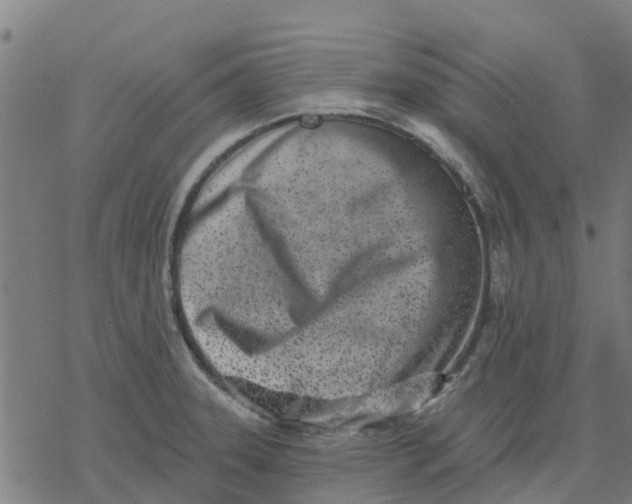 X0000077311331200611101423