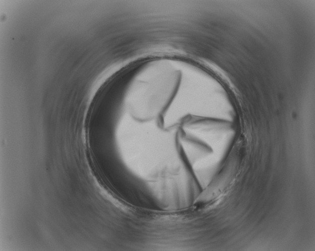 X0000077311335200611101423