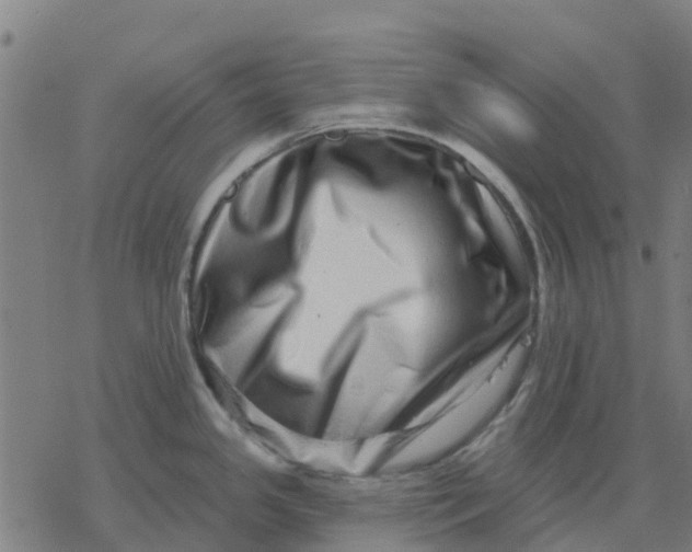 X0000077311341200611101423