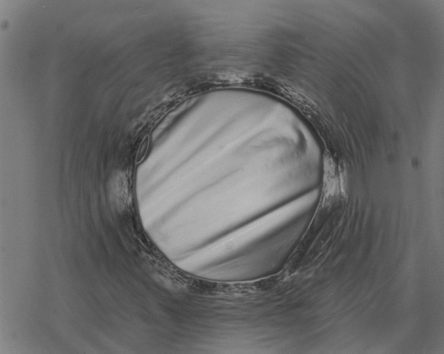 X0000077311347200611101423
