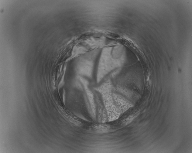 X0000077311348200611101423