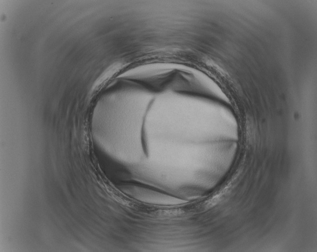 X0000077311354200611101423