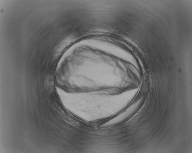 X0000077311355200611101423