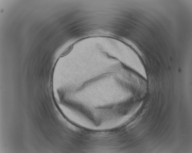 X0000077311387200611101422