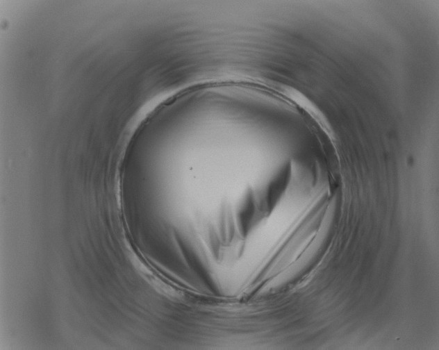 X0000077311388200611101422
