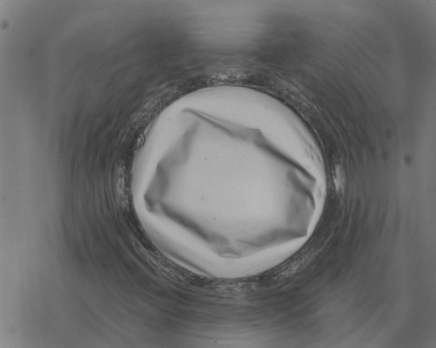 X0000077311396200611101421