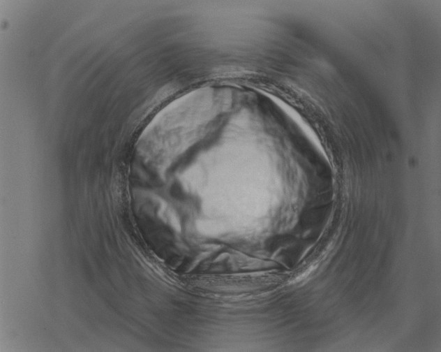 X0000077311401200611101421